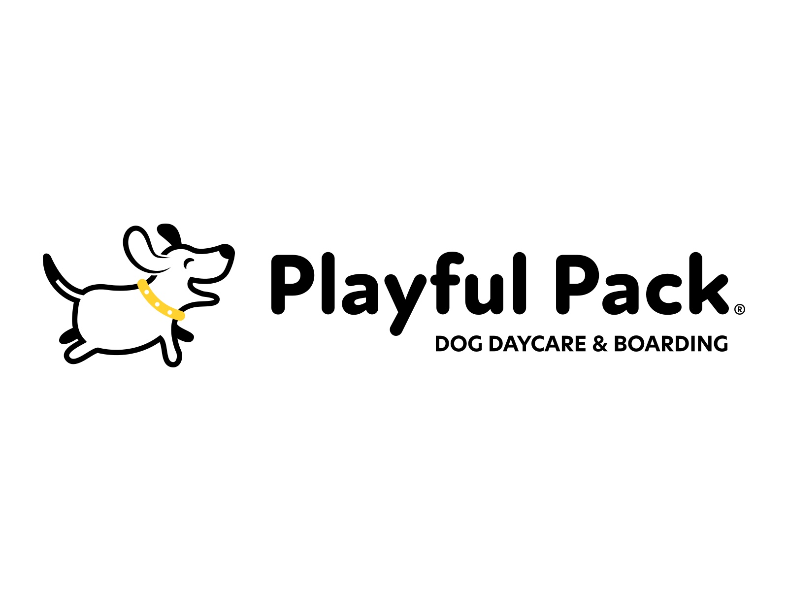 boarding-news-from-playful-pack